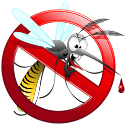Stop alle zanzare!